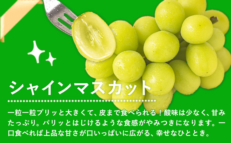 岡山県産 秀品 シャインマスカット ニューピオーネ 詰め合わせ 約1.2kg 2房 葡萄 果物 厳選出荷 スイーツ フルーツ デザート 岡山県 笠岡市《9月中旬-11月上旬頃出荷》数量限定 秋旬 種なしぶどう---kasaoka_zsy_38_12---
