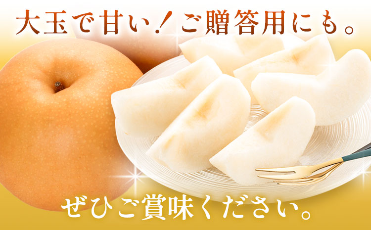 梨 岡山県産 新高梨 約4kg 3~6玉 株式会社山博《2026年9月下旬-11月上旬頃出荷》新高 フルーツ 化粧箱入り 岡山県 笠岡市 送料無料---Y-36a---