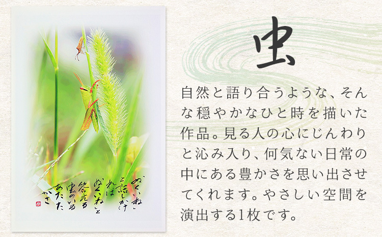 絵 書 書道 アート 季節の絵と書 虫 楠戸宇亭《90日以内に出荷予定(土日祝除く)》岡山県 笠岡市 送料無料 美術 作品 日本画 絵 インテリア---K-54-mushi---