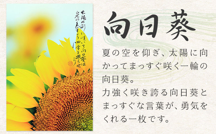 絵 書 書道 アート 季節の絵と書 向日葵 楠戸宇亭《90日以内に出荷予定(土日祝除く)》岡山県 笠岡市 送料無料 美術 作品 日本画 絵 インテリア--- K-54-himawari---