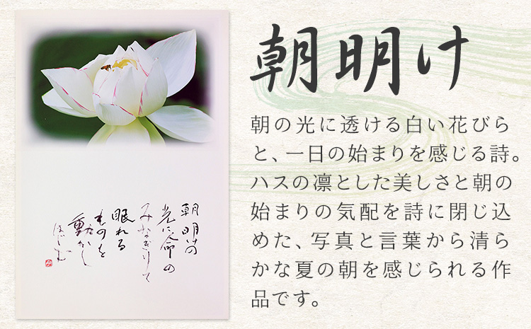 絵 書 書道 アート 季節の絵と書 朝明け 楠戸宇亭《90日以内に出荷予定(土日祝除く)》岡山県 笠岡市 送料無料 美術 作品 日本画 絵 インテリア---K-54-asaake---