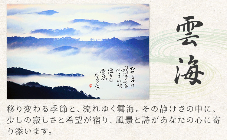 絵 書 書道 アート 季節の絵と書 雲海 楠戸宇亭《90日以内に出荷予定(土日祝除く)》岡山県 笠岡市 送料無料 美術 作品 日本画 絵 インテリア---K-54-unkai---