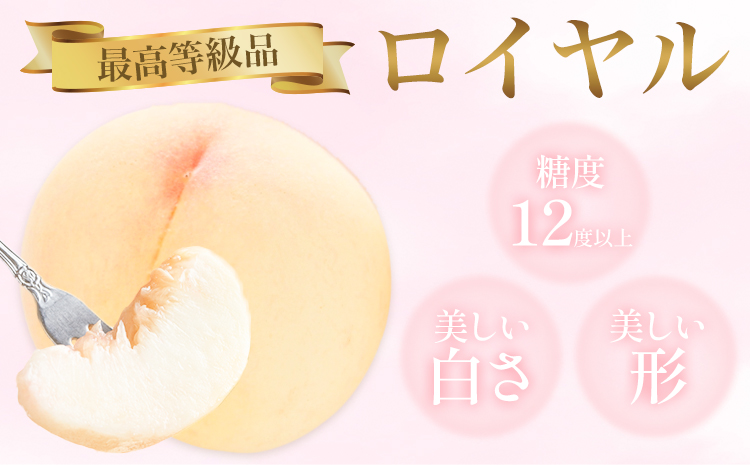 岡山白桃 5玉 (1.5kg以上) 等級ロイヤル 化粧箱入り 株式会社山博 (中本青果)《2026年7月上旬‐8月中旬頃出荷》岡山県 笠岡市 桃 もも フルーツ 旬 果物 国産 岡山県産 送料無料 冷蔵 化粧箱【配送不可地域あり】---Y-24a---