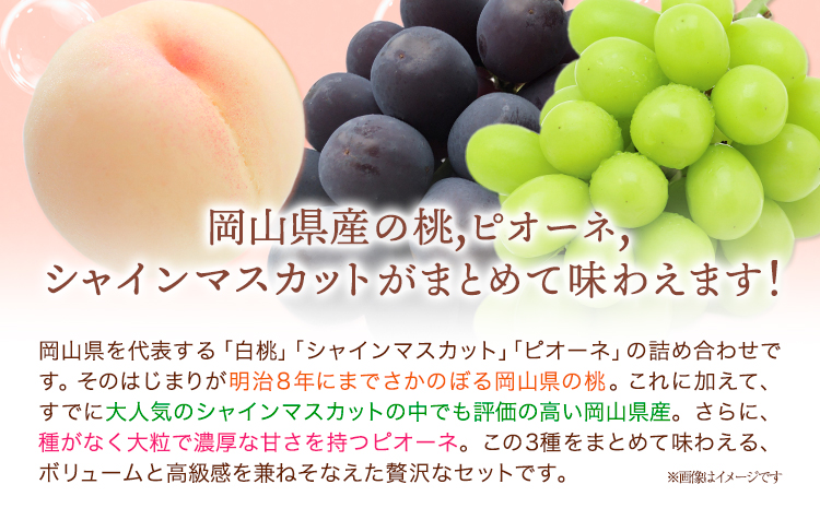 【2026年先行予約】桃 シャインマスカット ピオーネ 詰め合わせ 約1.8kg クール便 冷蔵便 桃 もも 葡萄 ブドウ ぶどう マスカット フルーツ セット 先行予約 晴れの国おかやま館 《2025年8月下旬‐9月中旬頃出荷》 フルーツ 果物 果実 岡山県 笠岡市---H-24a---