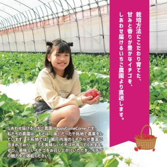 【先行受付】しあわせ届けるいちご農園HappyComeComeの贈答用 白いちご 月のしずく　PREMIUM SIZE《2024年12月中旬-3月下旬頃出荷》---B-92---
