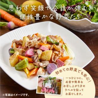 A-229 季節の旬野菜 10品 おまかせセット（農薬・化学肥料不使用）《45日以内に出荷予定(土日祝除く)》---A-229---