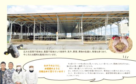 瀬戸の姫（スライス）《45日以内に出荷予定(土日祝除く)》---A-10---