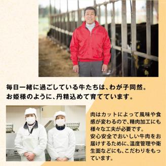 瀬戸の姫（スライス）《45日以内に出荷予定(土日祝除く)》---B-08---