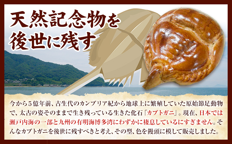 かぶとがにまんじゅう 小 20個 株式会社玉利軒《30日以内に出荷予定(土日祝除く)》岡山県 笠岡市 まんじゅう 饅頭 お土産 和菓子 手土産 送料無料---T-44---