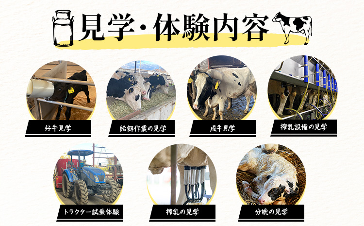 体験 牧場 食と命のつながりを感じるリアル牧場体験 ～ こはら牧場 in 笠岡湾干拓地 ～ 《30日以内に出荷予定(土日祝を除く)》株式会社こはら 岡山県 笠岡市 牛 乳牛 酪農 学習---K-71---