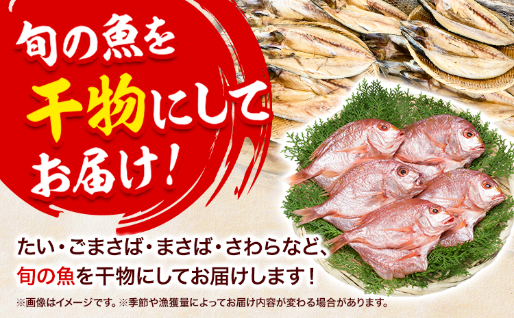 干物 ひもの 海鮮 熟成干物セット 4 ~ 5 種 セット 笠岡魚市場《45日以内に出荷予定(土日祝除く)》 岡山県 笠岡市 旬 魚 お魚---A-04---