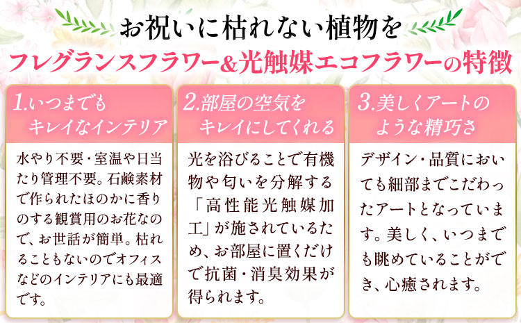 フレグランスフラワー＆光触媒エコフラワー 番犬くん Sサイズ フローリスト萬 《45日以内に出荷予定(土日祝除く)》岡山県 笠岡市 送料無料 母の日 プレゼント アレンジフラワー 枯れない---A-206---