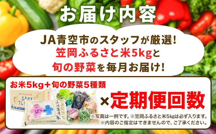 【1回お届け】ふるさとフレッシュ便 米 5kg 野菜 5種 JA晴れの国岡山 笠岡アグリセンター 米5kg 旬の野菜5種類 笠岡ふるさと米 野菜 送料無料 岡山県 笠岡市《お申込月の翌月より発送※12月15日以降のお申込みは2月発送》---A-54-1---
