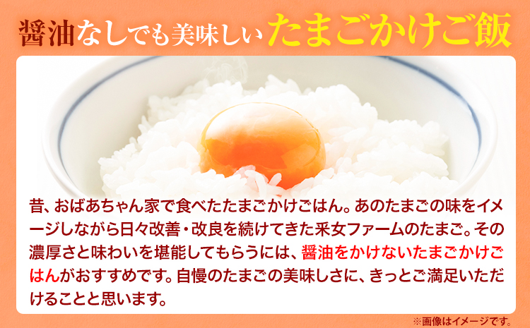 うねめもみじたまごとマヨネーズセット たまご約60個 マヨネーズ3本(250g/本) 采女ファーム 《45日以内に出荷予定(土日祝除く)》岡山県 笠岡市 たまご 卵 鶏卵 マヨネーズ セット TKG 送料無料---B-10---