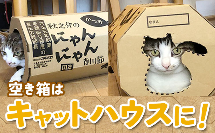 秋之介のにゃんにゃん削り節 2ケース (22g×20袋) 株式会社カネソ22 《45日以内に出荷予定(土日祝除く)》猫 ネコ ねこ おやつ 削り節 ねこ用かつお節 ペットフード キャットフード 国産 鰹節 キャットハウス 岡山県 笠岡市---B-22---