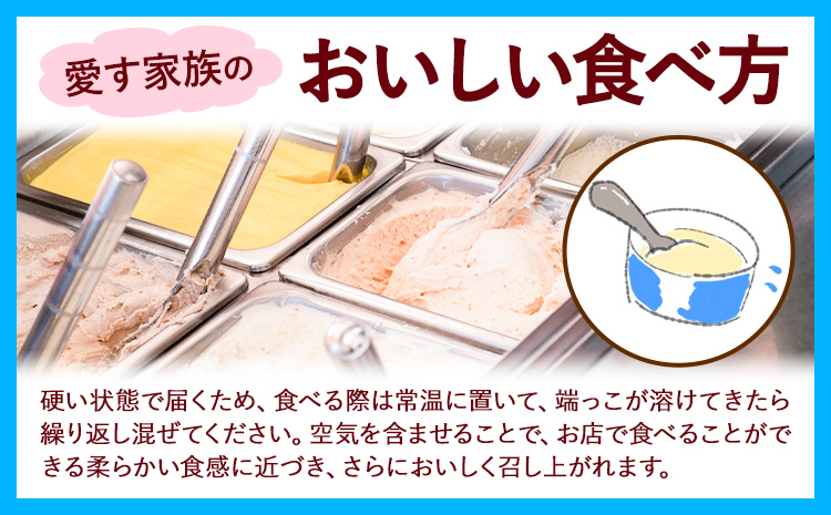 ひまわりの種ジェラート 15個セット 笠岡ジェラート工房ハッピーのカップアイス 《45日以内に出荷予定(土日祝除く)》ジェラート アイス アイスクリーム ミルク ヒマワリの種 デザート---H-12---