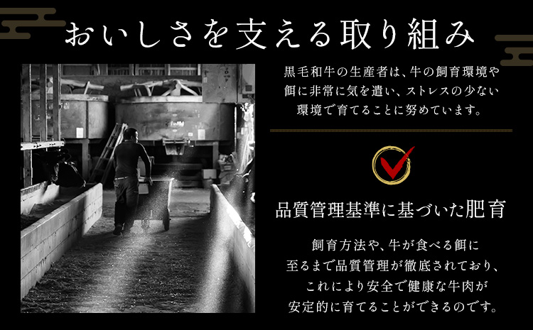 赤身 650g 数量限定 牛肉 冷凍 黒毛和牛 切り落とし 《30日以内に出荷予定(土日祝除く)》 個別 取分け 小分け 個包装 赤身 霜降り 岡山県 笠岡市 牛 牛肉 和牛 焼肉 焼き肉 小分けパック 325g 送料無料---223_f1201_30d_25_11000_6---