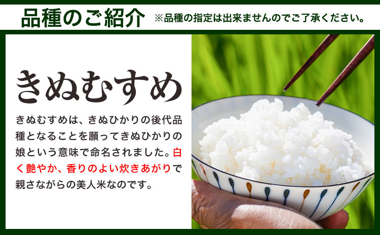 【令和8年7月発送】【先行予約】令和7年産 10kg 米 予約 ふるさと米 備中笠岡 人気品種をお届け！ 国産 ヒノヒカリ にこまる きぬむすめ お米 ブランド米 おにぎり 弁当 単一原料米 お取り寄せ 送料無料 岡山県産---R7-10k-R0807-22000---