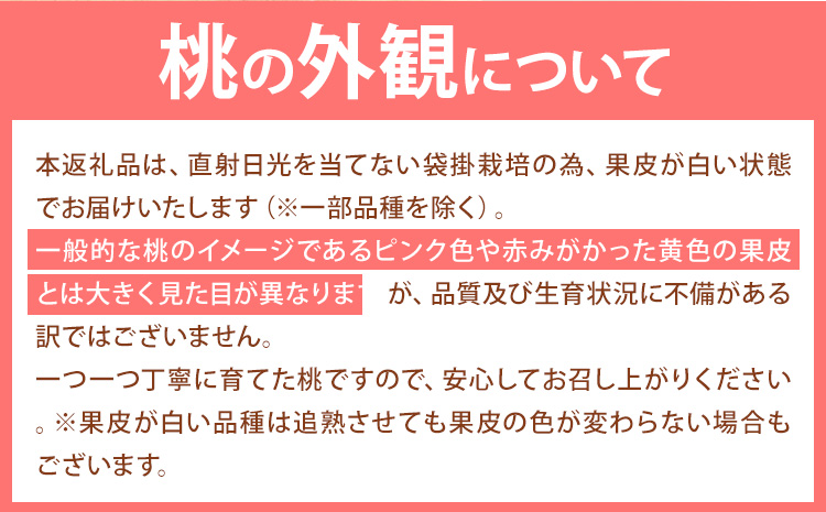 【先行予約】岡山の桃 約750g 《2026年6月下旬-9月上旬頃出荷》 ご家庭用 訳あり 白桃 岡山 はくとう スイーツ フルーツ 果物 デザート 旬 モモ もも 先行予約 送料無料 果物 岡山県 笠岡市 清水白桃 白鳳 白麗 クール便---kasaoka_zsy_148_750---
