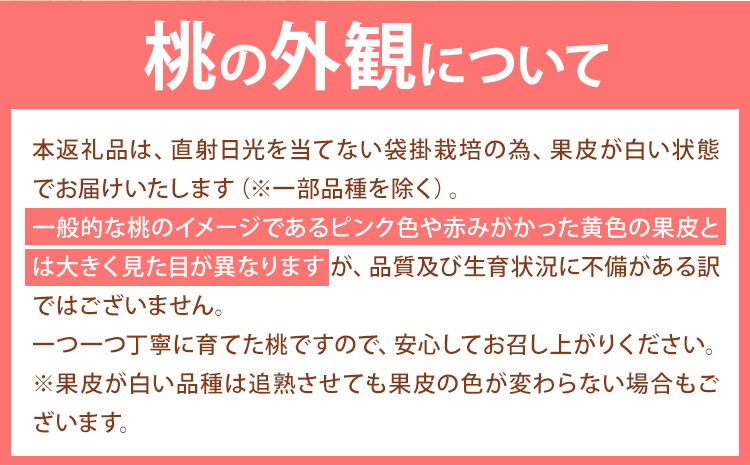 【先行予約】岡山の桃 約1kg(3~5玉前後)《2026年6月下旬-9月上旬頃出荷》 ご家庭用 訳あり 白桃 岡山 はくとう スイーツ フルーツ 果物 デザート 旬 モモ もも 先行予約 送料無料 果物 岡山県 笠岡市 清水白桃 白鳳 白麗 クール便---kasaoka_zsy_149_1---