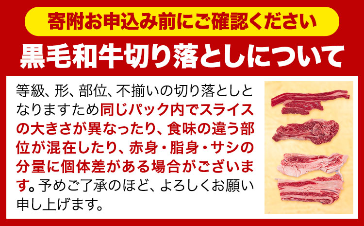 牛肉 肉 黒毛和牛 切り落とし 訳あり 大容量 小分け【定期便】 2kg 1パック 250g 3回 《お申込月の翌月より発送》岡山県産 岡山県 笠岡市 お肉 にく カレー 牛丼 切り落し 切落し 黒毛和牛 牛肉 黒毛和牛 牛肉 黒毛和牛 牛肉 黒毛和牛 牛肉 黒毛和牛 牛肉 黒毛和牛 牛肉 黒毛和牛 ---kasaoka_zsytei_123_2kg---