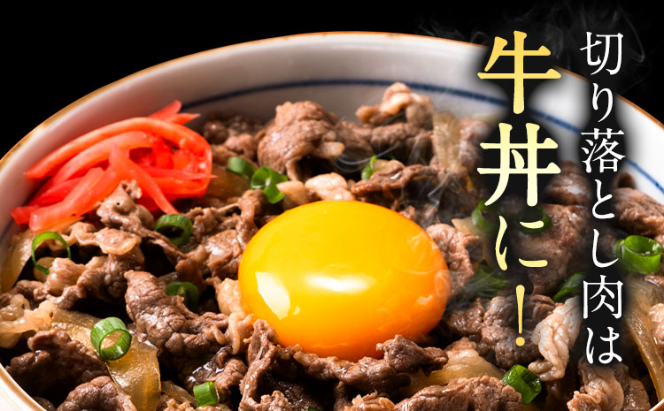 牛肉 肉 おつかれママ牛 ホルスタイン 牛肉セット ホルスタイン牛肉 切り落とし 500g×2 1kg 株式会社こはら《60日以内に出荷予定(土日祝除く)》岡山県産 岡山県 笠岡市 切り落とし肉 セット---K-23b---