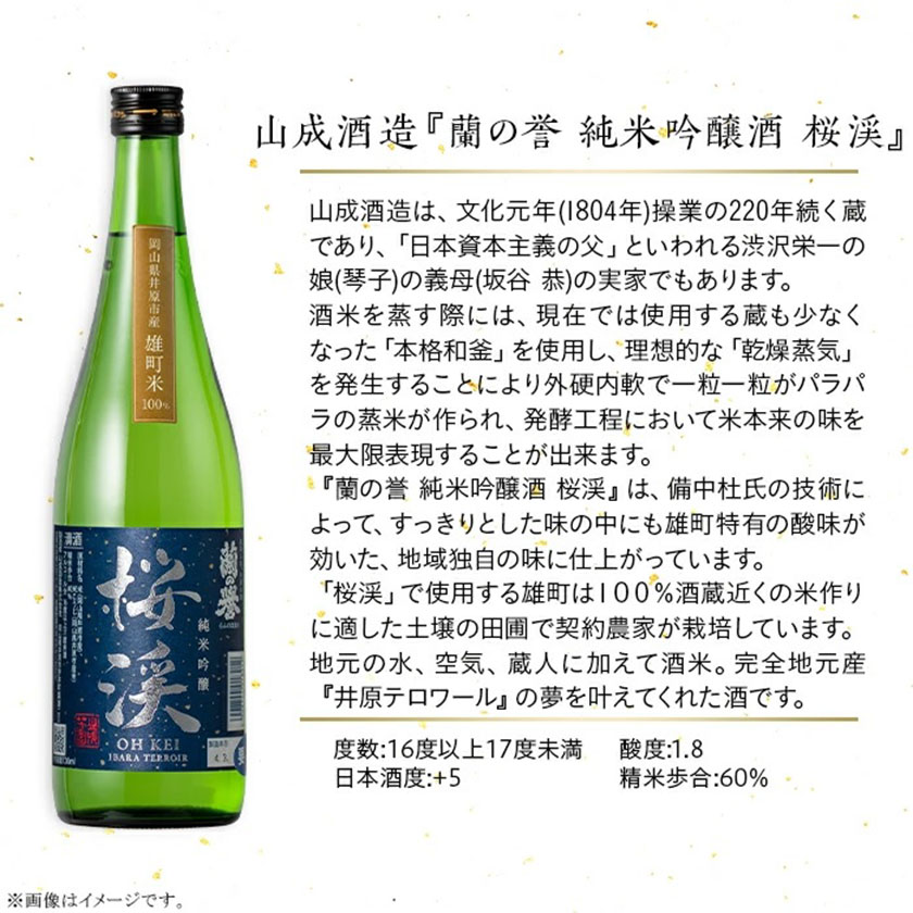 【びんご圏域連携】備後の日本酒 純米吟醸酒 飲み比べセット 株式会社齋藤商店《30日以内に出荷予定(土日祝除く)》酒 日本酒 さけ お酒---S-18a---