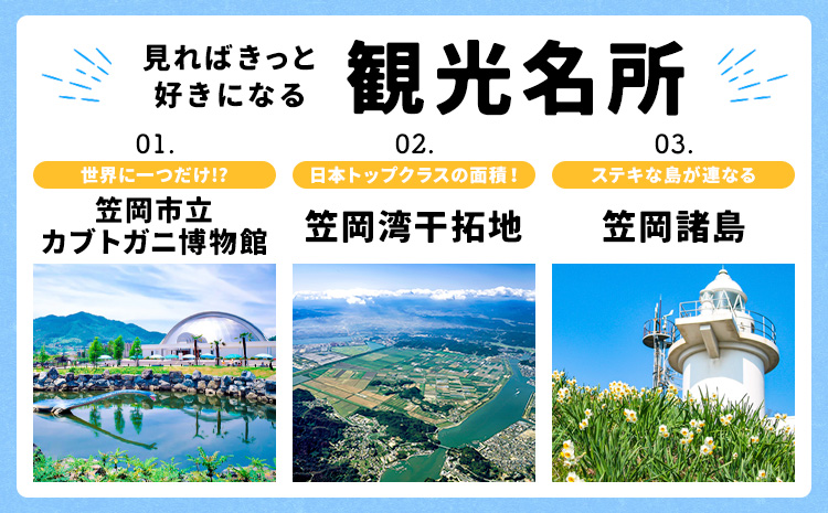 岡山県 笠岡市 応援寄附 1口 1000000円【返礼品なし】---gift-none7---