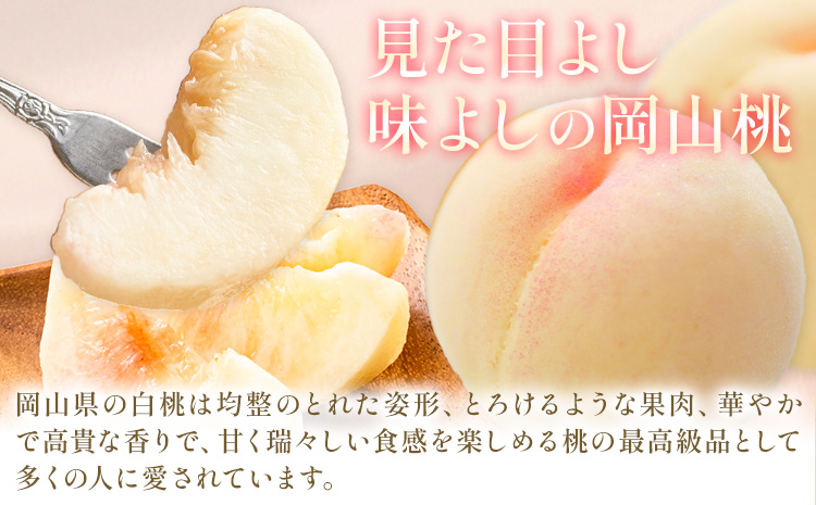 【2026年発送先行予約】 桃 3ヶ月 定期便 岡山 の 桃 3種 食べ比べ 各1kg 計3kg 晴れの国おかやま館(漂流岡山)《2026年7月中旬-9月中旬頃出荷》岡山県 笠岡市 桃 もも 果物 フルーツ デザート 送料無料【配送不可地域あり】（離島）---H-49_2026---