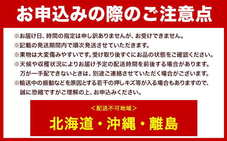 【2026年先行予約】ニューピオーネ 1房480g以上 約2kg 4房 株式会社山博《2026年8月下旬-10月上旬頃出荷》岡山県 笠岡市 ぶどう フルーツ 旬 果物 国産 岡山県産 送料無料 【配送不可地域あり】---Y-25---