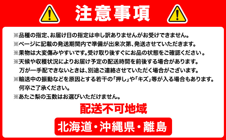 【4回定期便】ぶどう 梨 岡山のフルーツ定期便 4回コース 岡山県産 シャインマスカット 晴王 ニューピオーネ 紫苑 あたご 株式会社山博《2026年9月上旬-12月末頃出荷》岡山県 笠岡市 フルーツ 果物 ぶどう あたご梨 マスカット お取り寄せ【配送不可地域あり】---Y-41a---