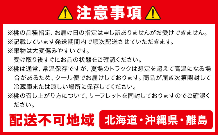桃 ぶどう 詰合 岡山白桃 2玉(1玉220g以上) シャインマスカット 晴王 2房(1房480g以上) 化粧箱入り 株式会社山博《2026年7月下旬-8月中旬頃出荷》岡山県 笠岡市 フルーツ 果物 葡萄 マスカット もも お取り寄せ【配送不可地域あり】---Y-33a---