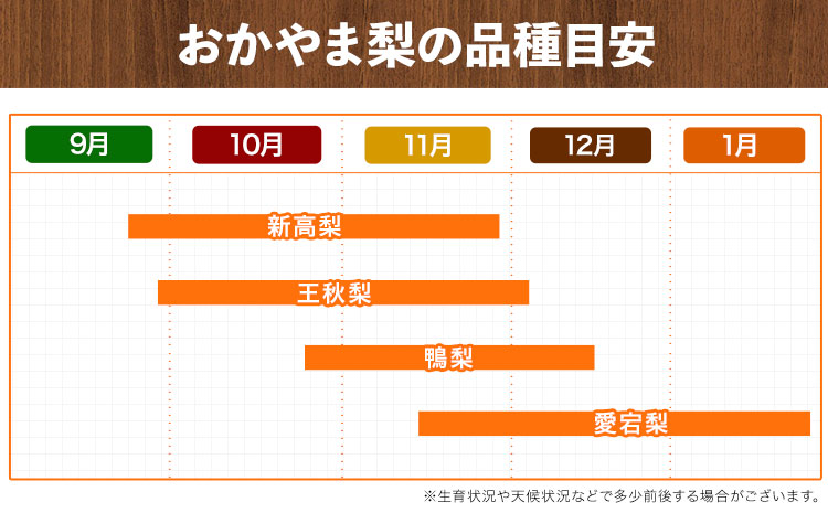 【先行予約】秀品 岡山県産 旬の 梨 約2.5kg 2~6玉前後 梨 秀品 新高 愛宕 スイーツ フルーツ デザート 旬 岡山県 笠岡市《9月上旬-1月末頃に出荷予定》---kasaoka_zsy_47_25---