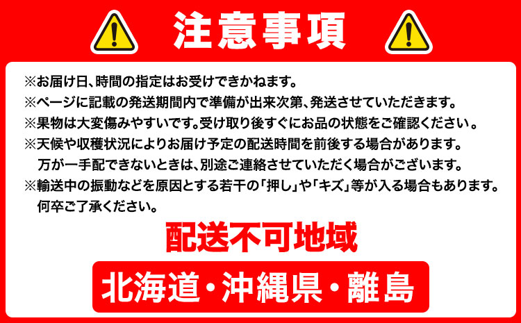 梨 岡山県産 新高梨 約4kg 3~6玉 株式会社山博《2026年9月下旬-11月上旬頃出荷》新高 フルーツ 化粧箱入り 岡山県 笠岡市 送料無料---Y-36a---