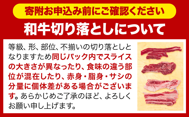 牛肉 肉 国産牛 切り落とし ホルスタイン 大容量 小分け 1.8kg 《30日以内に出荷予定(土日祝除く)》岡山県産 岡山県 笠岡市 お肉 にく カレー 牛丼 牛肉 切り落し 小分け 切落し 牛肉 小分け 牛肉---kasaoka_zsy_131_1800g---