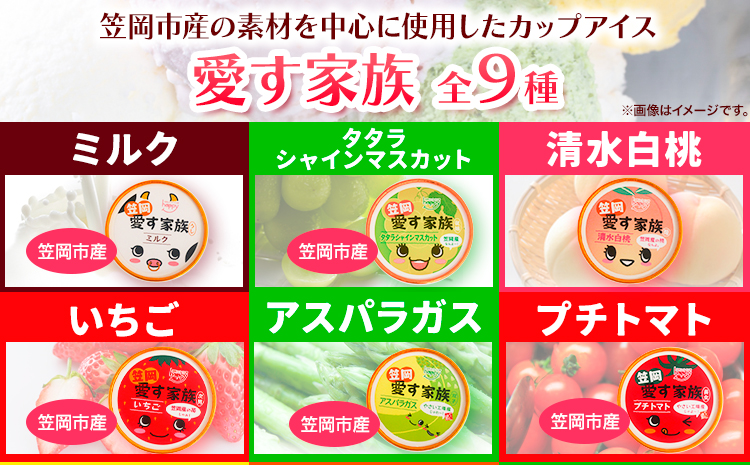 愛す家族 カップアイス 30個入り 選べるフレーバー 笠岡ジェラート 工房ハッピーのカップアイス ハッピー＆甲和株式会社 ジェラート アイス ミルク たたらシャインマスカット 清水白桃 いちご アスパラガス プチトマト 瀬戸内バナナ マンゴー パセリ 岡山県 笠岡市---C-05---