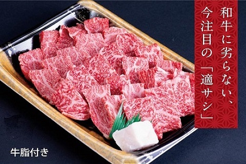 瀬戸の姫（焼肉用）《45日以内に出荷予定(土日祝除く)》---B-07---