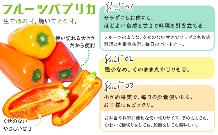 サラ商品とふるさとフレッシュ便 旬野菜セット 野菜 果物 プラムトマト パプリカ 《30日以内に出荷予定(土日祝を除く)》 笠岡アグリセンター 野菜 岡山県 笠岡市---H-60---