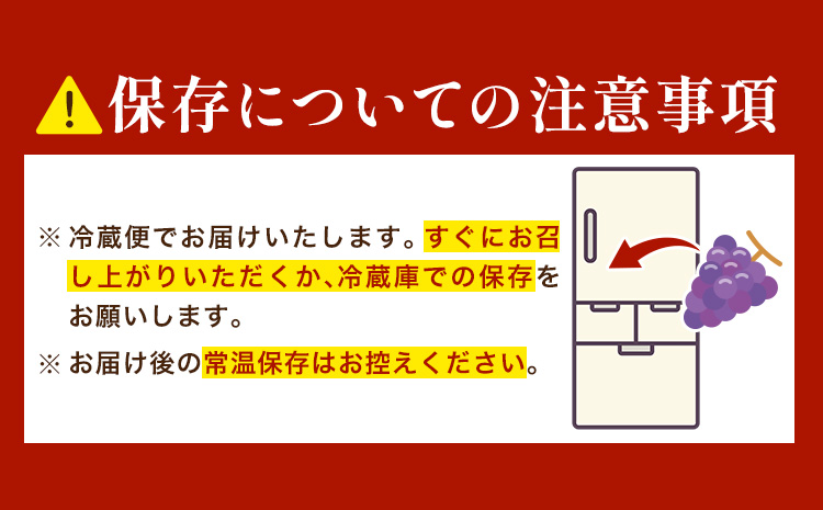 ぶどう ピオーネ オーロラブラック 計2房 1kg 以上 《8月下旬-9月中旬頃出荷》 たかたかファーム ブドウ 葡萄 黒系 果物 フルーツ ギフト 岡山県 笠岡市---T-34---