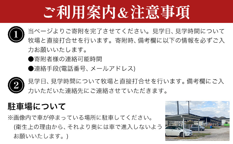 体験 牧場 食と命のつながりを感じるリアル牧場体験 ～ こはら牧場 in 笠岡湾干拓地 ～ 《30日以内に出荷予定(土日祝を除く)》株式会社こはら 岡山県 笠岡市 牛 乳牛 酪農 学習---K-71---