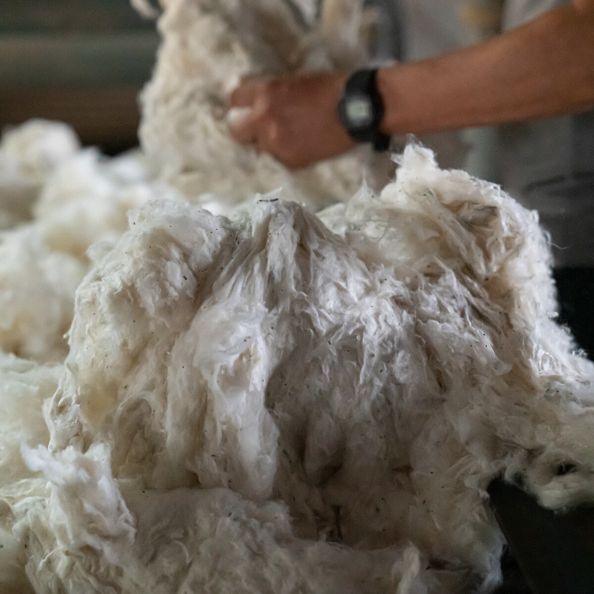 座布団 和柄の綿ざぶとん 42cm×43cm 国産 綿100％ お祝い 贈答 プレゼント 枯葉色《45日以内に出荷予定(土日祝除く)》---A-230a_kareha---