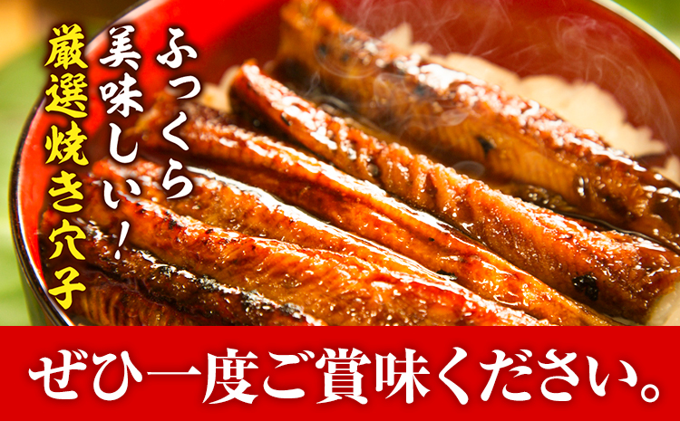 焼き穴子 約800g 笠岡魚市場《45日以内に出荷予定(土日祝除く)》岡山県 笠岡市 穴子 海鮮 魚 お魚---B-04---