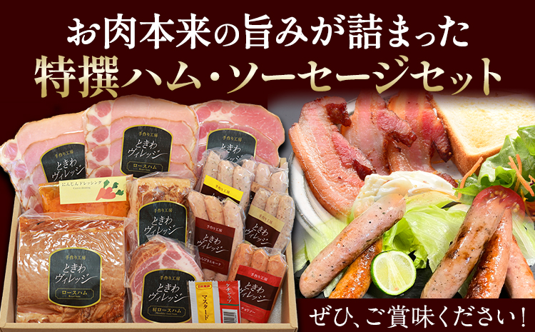 K-09 ときわヴィレッジ 特撰 ハム ソーセージセット ハム 手造り 燻製 ハムセット 社会福祉法人敬業会ヴィレッジ興産 ときわヴィレッジ《45日以内に出荷予定(土日祝除く)》岡山県 笠岡市 肉 豚肉 にんじん ドレッシング ギフト---K-09---