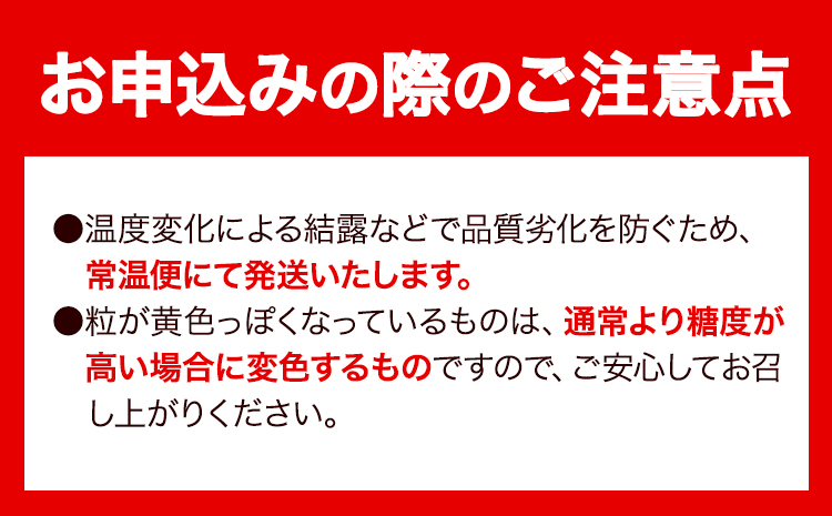 【先行予約】 【3回定期便】マスカット シャインマスカット 約2kg(3~5房)《2026年8月下旬-10月下旬頃出荷予定》たたらみねらる ギフト 糖度18度以上 フルーツ 種無し ぶどう 葡 Y&G．ディストリビューター 岡山県 笠岡市 定期便---Y-05---