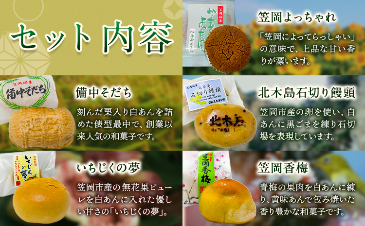 お菓子 笠岡 銘菓 セット 5種 × 2個ずつ 藤屋菓子舗 《30日以内に出荷予定(土日祝除く)》岡山県 笠岡市 お菓子 和菓子 饅頭 最中 詰め合わせ スイーツ---F-27---