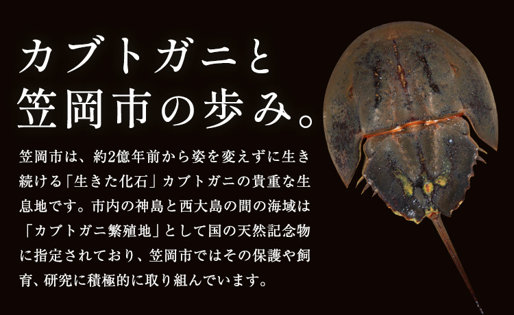 レザー 革製 カブトガニ 幼生 タックピン 革 グリーン JS stage株式会社 《30日以内に出荷予定(土日祝を除く)》岡山県 笠岡市 ハンドメイド ファッション イタリアンレザー---J-14_g---