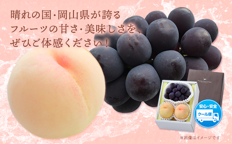 【2026年発送先行予約】桃・ピオーネ詰め合わせ 約1kg クール便 冷蔵便 桃 もも 葡萄 ブドウ ぶどう ピオーネ フルーツ セット 先行予約 晴れの国おかやま館 《2025年8月下旬‐9月中旬頃出荷》 フルーツ 果物 果実 岡山県 笠岡市---H-22a---