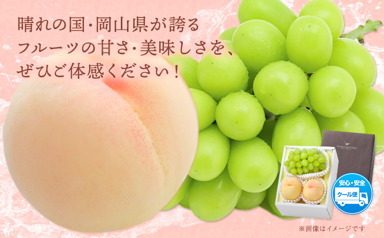 【2026年先行予約】桃・シャインマスカット詰め合わせ 約1kg クール便 冷蔵便 桃 もも 葡萄 ブドウ ぶどうシャインマスカット マスカット フルーツ セット 先行予約 晴れの国おかやま館 《2025年8月下旬‐9月中旬頃出荷》 フルーツ 果物 果実 岡山県 笠岡市---H-23---