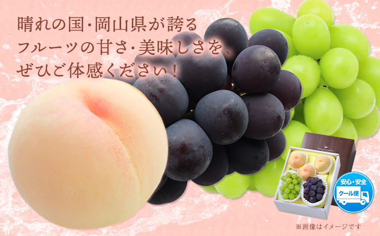 【2026年先行予約】桃 シャインマスカット ピオーネ 詰め合わせ 約1.8kg クール便 冷蔵便 桃 もも 葡萄 ブドウ ぶどう マスカット フルーツ セット 先行予約 晴れの国おかやま館 《2025年8月下旬‐9月中旬頃出荷》 フルーツ 果物 果実 岡山県 笠岡市---H-24a---