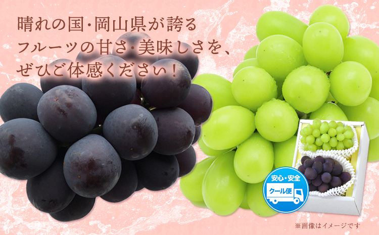 【2026年先行予約】シャインマスカット・ピオーネ詰め合わせ 約1.0kg マスカット 葡萄 ブドウ ぶどう ピオーネ フルーツ セット 晴れの国おかやま館 《2026年8月下旬-10月下旬頃出荷》 フルーツ 果物 果実 岡山県 笠岡市---H-21a---